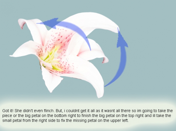 Creation of Garden girl: Step 7